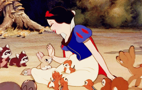 Snow White Animals Snow White GIF