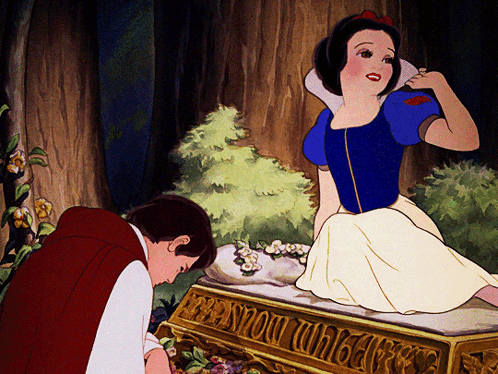 Snow White Disney Princess GIF