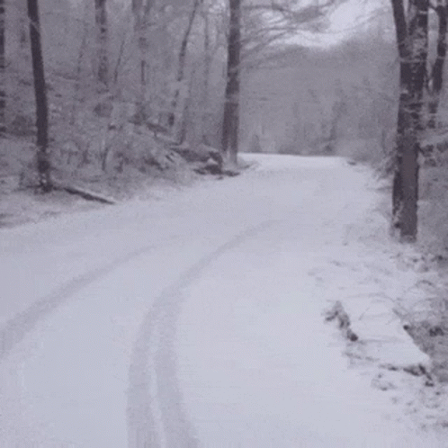 Snow Winter GIF