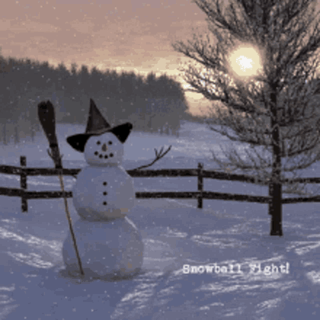 Snow Yes GIF