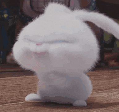Snowball Bunny GIF