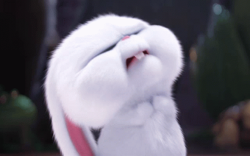 Snowball Bunny GIF