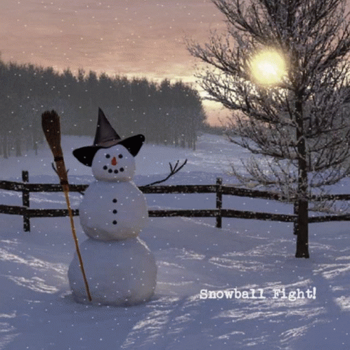Snowball Fight GIF