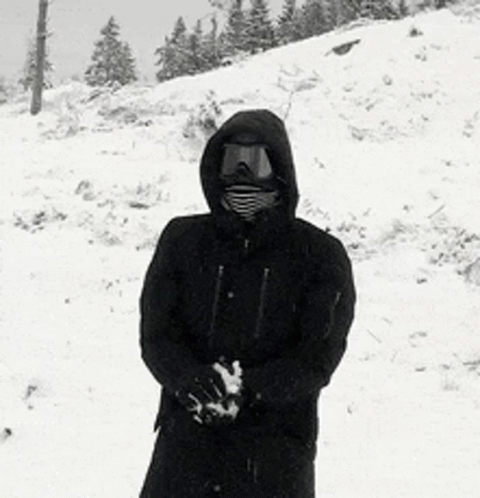 Snowball Throw GIF