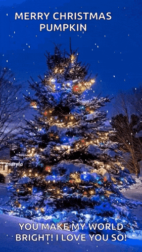 Snowing Christmas Snow GIF