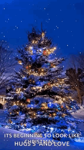 Snowing Christmas Snow GIF