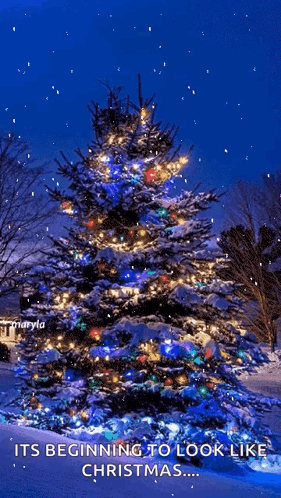 Snowing Christmas Snow GIF