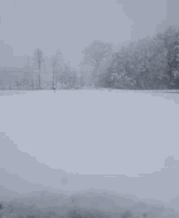 Snowing Cold GIF