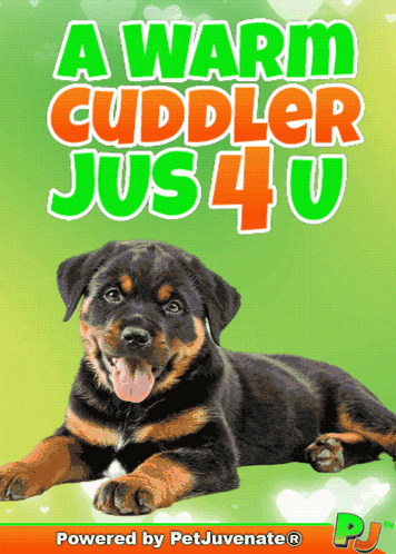Snuggle Pup Puppy GIF
