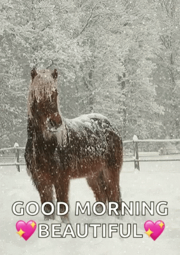 So Beautiful GIF. This 351 x 498 animated GIF is part of our lustiger dienstag collection. Related themes include beautiful, good, horse. Created by…