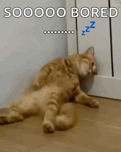 So Bored GIF