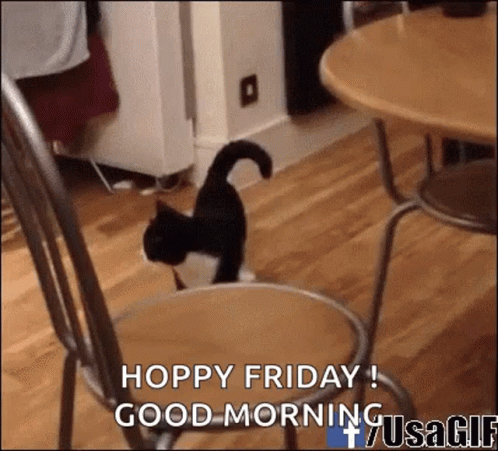 So Funny GIF