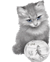So Sweet Cat Sticker