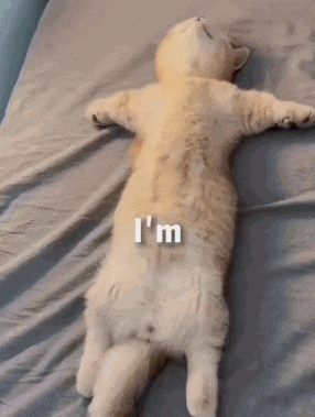 So Tired Cute GIF
