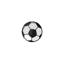 Soccer Sticker