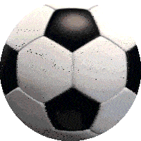 Soccer Soccer Ball Sticker