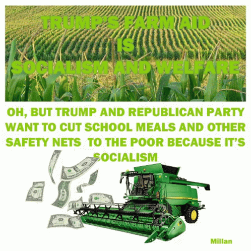 Green combine harvester harvesting corn with money bills flying up from the ground.