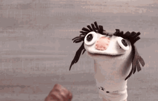 Sock Kasey GIF