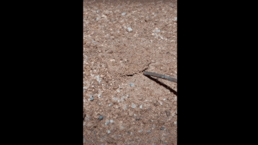 Sock Service GIF