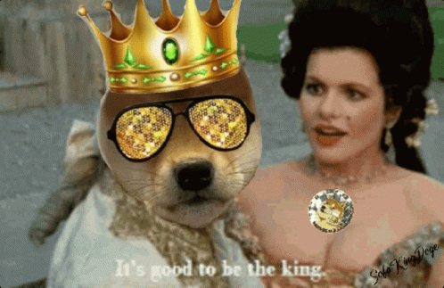 Sofakingdoge GIF. This 498 x 323 animated GIF is part of our its good to be the king collection. Created by SofaKingDoge. View the original animation, share…