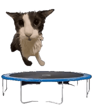 Soggy Cat Shark GIF