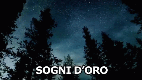 Sogni D'Oro Buona Notte Stelle Notte GIF