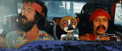 Sol Royal Sol Lemur GIF