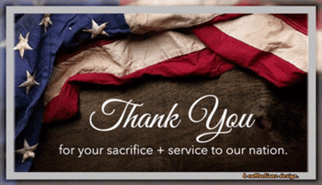 Soldier Veterans GIF