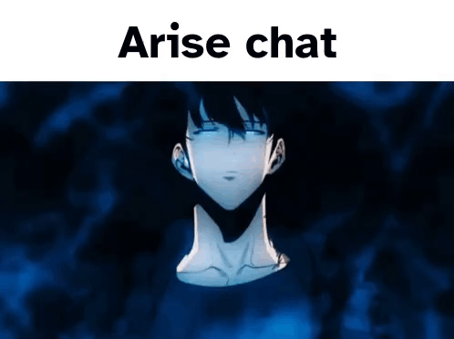 Solo Leveling Arise GIF