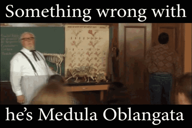Something Wrong With His Medula Oblangata Billy Madison GIF