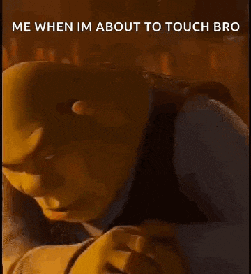 Sonfys Shrek GIF