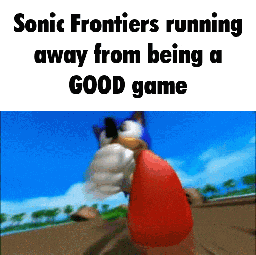 Sonic Fan Sonic Fans GIF