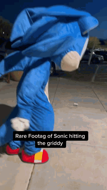 Sonic Fortnite Dance GIF