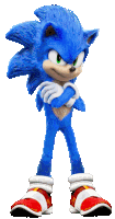 Sonic Sticker