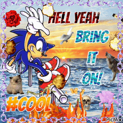 Sonic Sonic The Hedgehog GIF