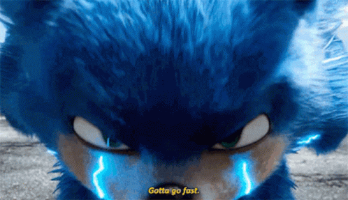 Sonic The Hedgehog Gotta Go Fast GIF