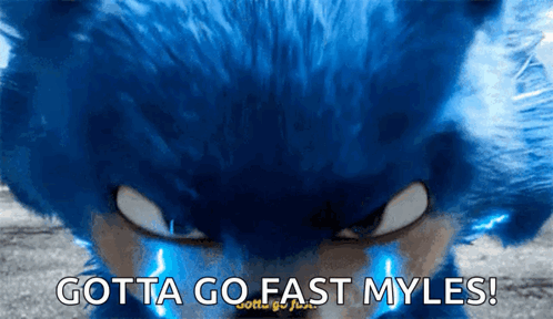 Sonic The Hedgehog Gotta Go Fast GIF