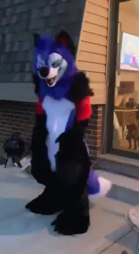 Sonicfox Furry GIF. This 273 x 498 animated GIF is part of our furry collection. Created by OongaBoonga69. View the original animation, share it, or browse…