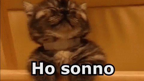 Sonno Ho Sonno Sto Morendo Di Sonno Mi Si Chiudono Gli Occhi GIF