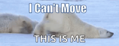 Sore Ouch GIF. This 498 x 191 animated GIF is part of our pain everywhere collection. Related themes include bear, me, polar bear. Created by…