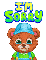 Sorry Im Sorry Sticker