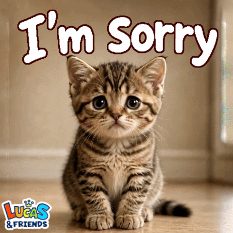 Sorry Im Sorry GIF