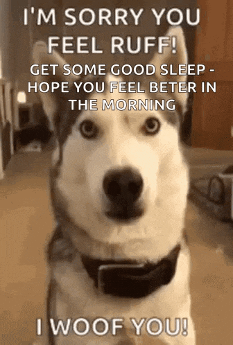 Sorry Love You GIF