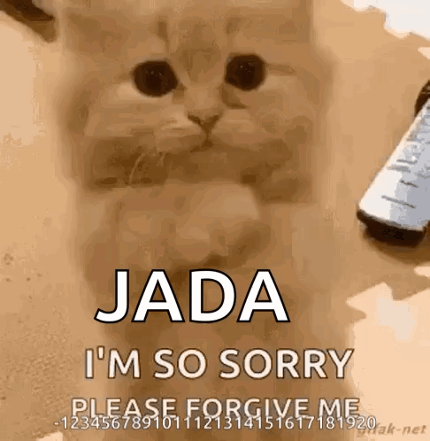 Sorry GIF