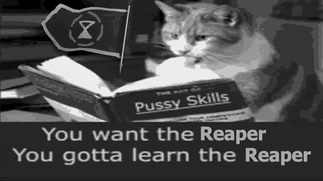 Sot Reaper GIF