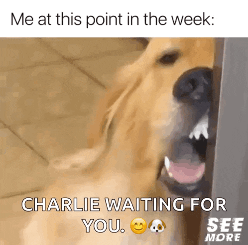 Sotired Tired GIF
