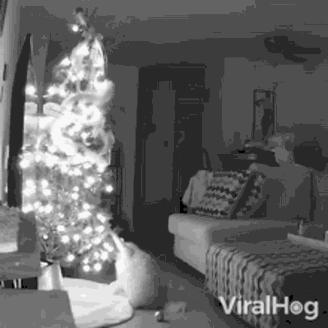 Soul GIF