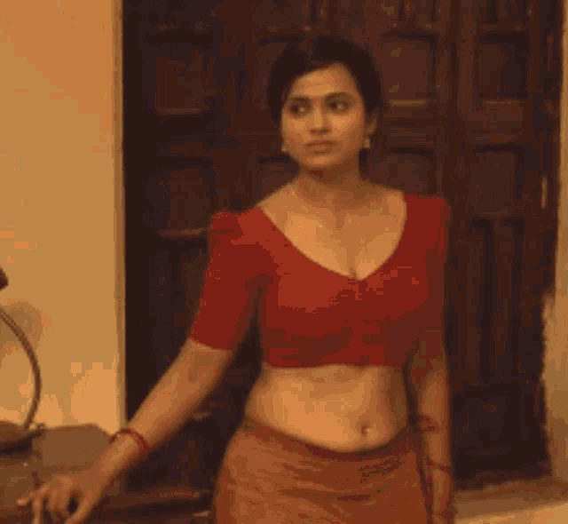 South Hot Saree GIF