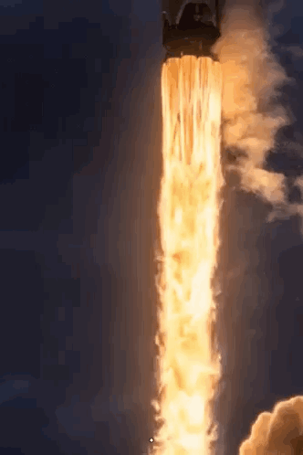 Space X Elon GIF