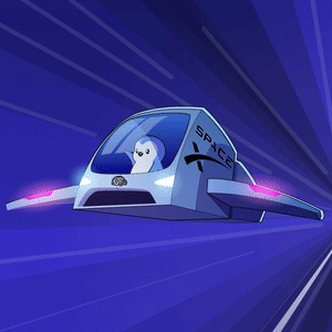 Space Xspace X Spacex GIF